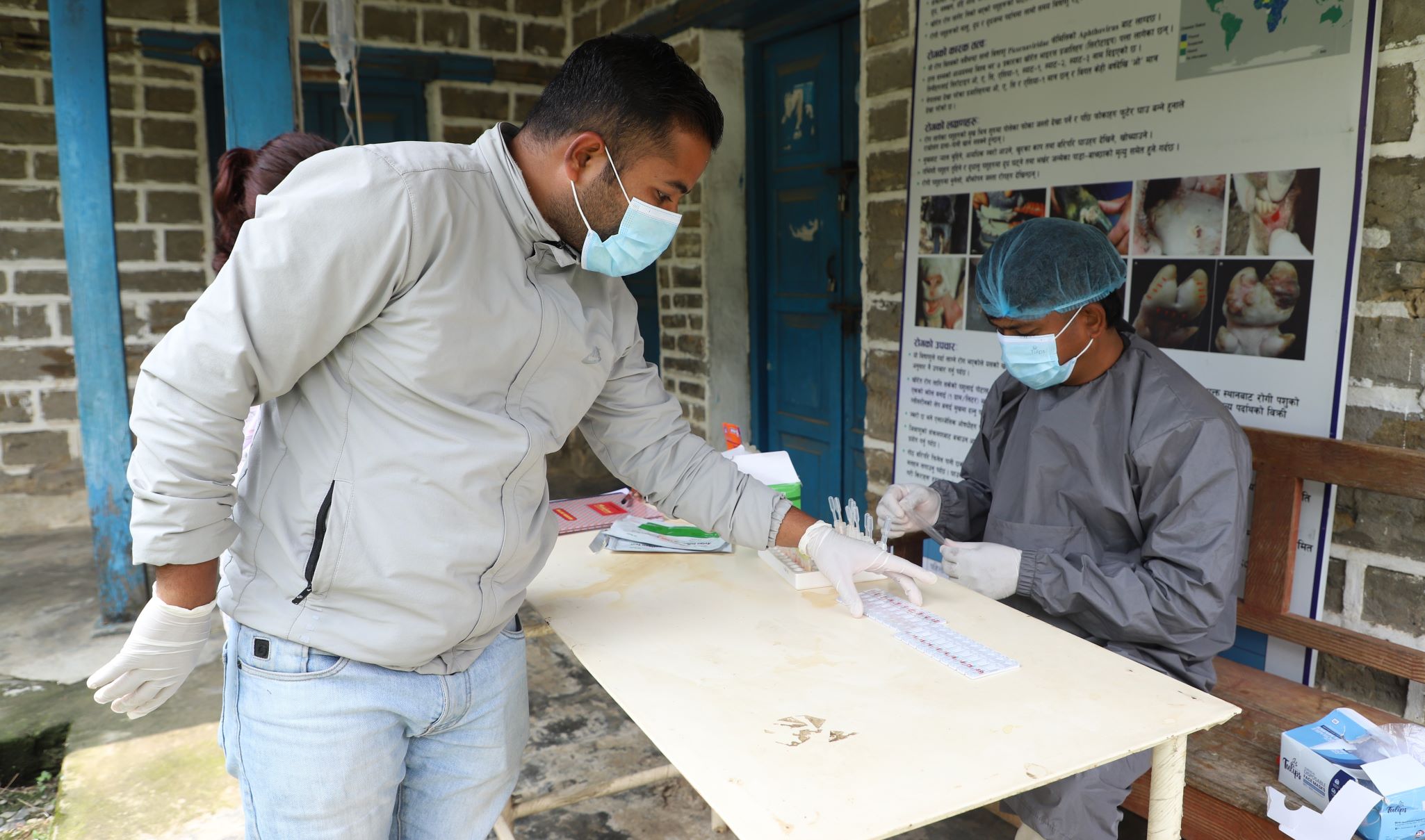 ताप्लेजुङ बर्ड फ्लु मुक्त घोषणा अभियान सुरु, पसलहरूमा परीक्षण गर्दा संक्रमण भेटिएन